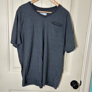 PD&C Men's Short Sleeve V-Neck Tee in Charcoal and Light Gray Stripe, size XL